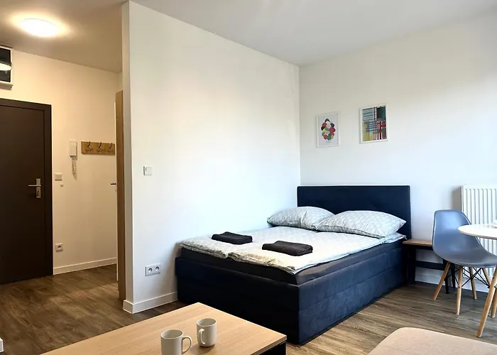 Przyjazni 16 26 - Self Check-in 20h - Lift דירה